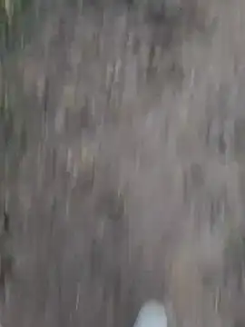 Sonia66w online show from October 1, 12:49 am