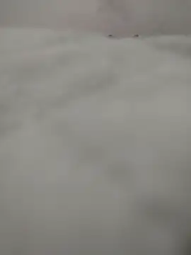 safadomoreno online show from April 12, 12:26 am