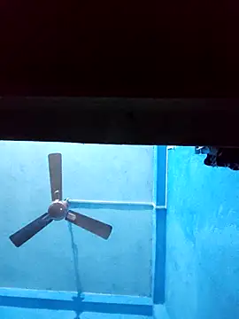 Snapshot of BlackCobraOwner chatting on November 28, 1:03 pm BlackCobraOwner online show from November 28, 1:03 pm