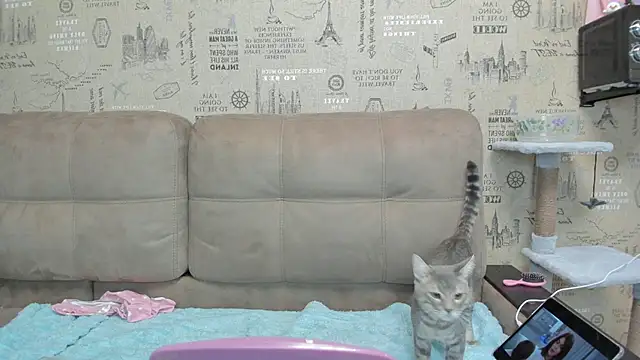 Kelly Gerzikaa online show from November 29, 1:41 am