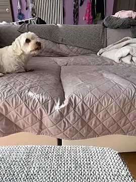 bananasex204 online show from October 25, 12:02 pm