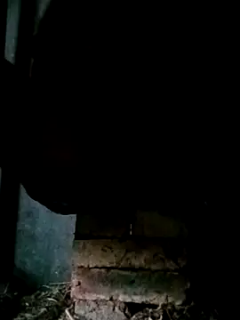 NegroArg 22 online show from October 2, 9:44 pm