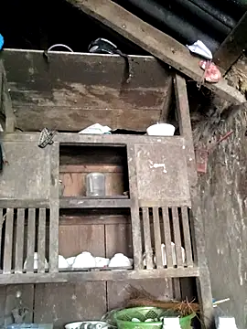 omiu-baby online show from April 9, 2:11 am