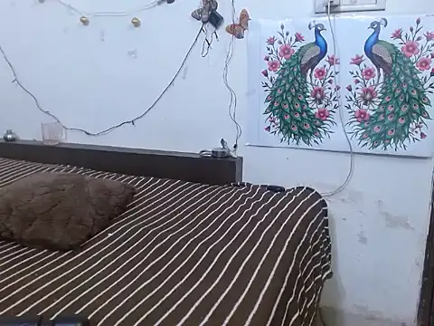 first night online show from November 10, 7:13 pm