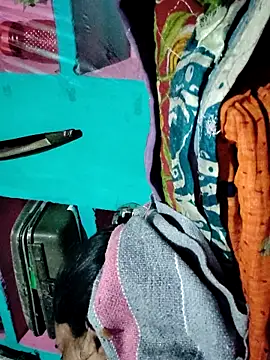 Pooja750 online show from November 7, 2:06 pm