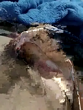 Snapshot of hdz3012 chatting on November 15, 1:29 pm hdz3012 online show from November 15, 1:29 pm