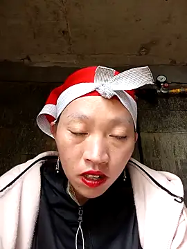 tcm-cute online show from November 11, 4:56 am