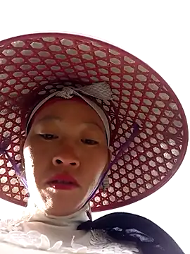 tcm-cute online show from November 14, 1:04 am