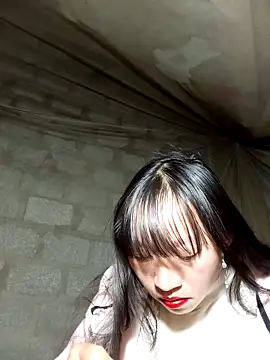 tcm-cute online show from November 25, 12:49 pm