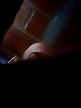 Perropa online show from February 7, 11:36 am