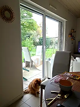 Snapshot of CornetDeGlace chatting on October 31, 11:55 am CornetDeGlace online show from October 31, 11:55 am