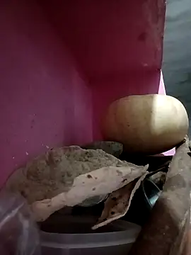 Payal950 online show from October 9, 9:46 pm