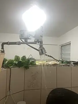 YadielPublic online show from April 10, 12:49 am