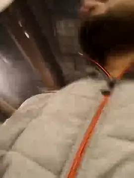 xyz-indian online show from November 17, 7:41 pm