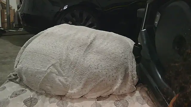 Gmajor online show from December 15, 1:32 am