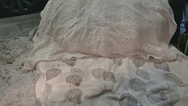 Snapshot of Gmajor chatting on March 15, 12:38 am Gmajor online show from March 15, 12:38 am