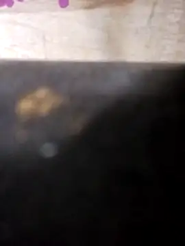 Snapshot of Jeremycle chatting on October 25, 11:21 pm Jeremycle online show from October 25, 11:21 pm