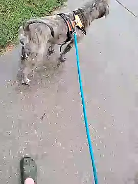 Snapshot of Unknownstepbrother chatting on October 5, 7:56 pm Unknownstepbrother online show from October 5, 7:56 pm