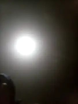 Bebicho14 online show from March 17, 4:17 am