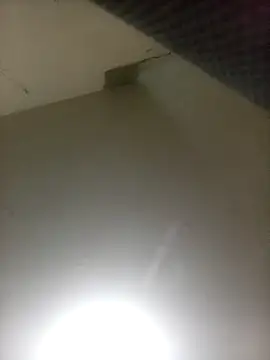 Bebicho14 online show from April 7, 2:56 am