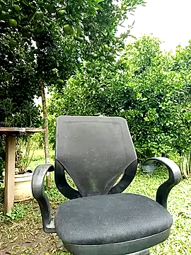 AlphaAlterX online show from October 12, 1:32 pm