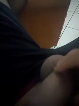 Novin23cms online show from December 14, 5:13 am