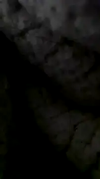 LanaAce719 online show from October 13, 7:41 am