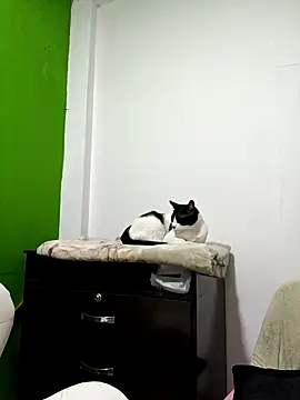 kate rosse02 online show from February 11, 8:41 am