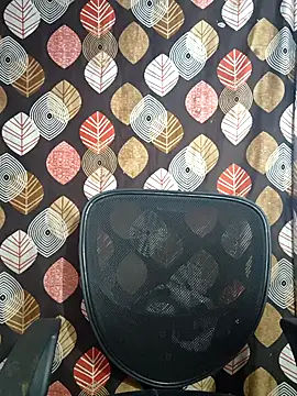 telugu pellam online show from February 28, 9:21 am