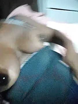 thamihravena online show from November 25, 2:44 am