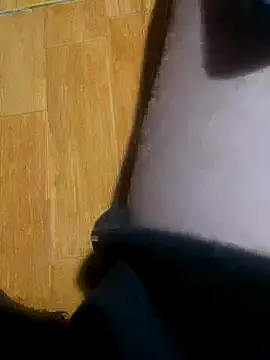 dogslavehf online show from November 9, 3:10 pm