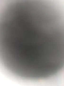 Snapshot of Necroforo chatting on February 14, 8:49 pm Necroforo online show from February 14, 8:49 pm