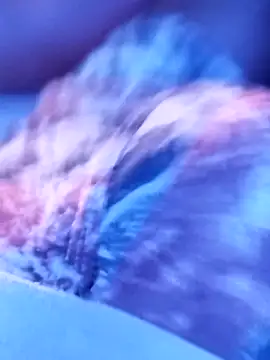 Snapshot of sertaonegro chatting on November 14, 11:13 pm sertaonegro online show from November 14, 11:13 pm