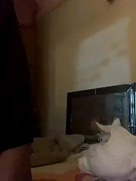 Kajal-Shemale69 online show from November 17, 7:36 am