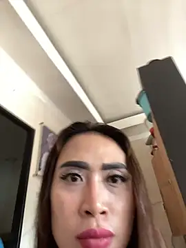 Snapshot of The_Stunning_stephanie chatting on November 27, 12:02 am The Stunning stephanie online show from November 27, 12:02 am