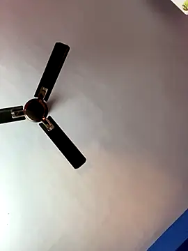 Snapshot of V-Hot-Sweti chatting on November 19, 5:35 pm V-Hot-Sweti online show from November 19, 5:35 pm