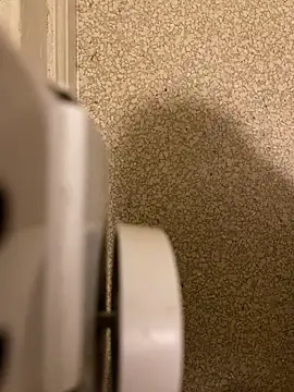 Snapshot of Pedro98801 chatting on December 18, 3:56 am Pedro98801 online show from December 18, 3:56 am