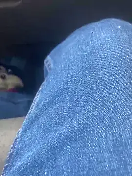 Snapshot of Pedro98801 chatting on February 2, 11:47 pm Pedro98801 online show from February 2, 11:47 pm