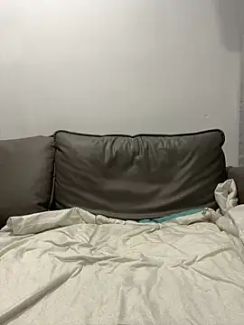 Snapshot of ruyi-13 chatting on September 13, 3:23 pm ruyi-13 online show from September 13, 3:23 pm