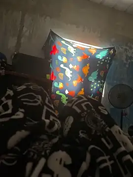 FromVnz online show from November 15, 12:45 pm