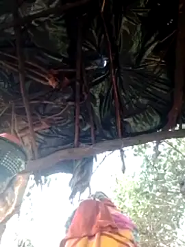 H seema online show from February 9, 1:53 am