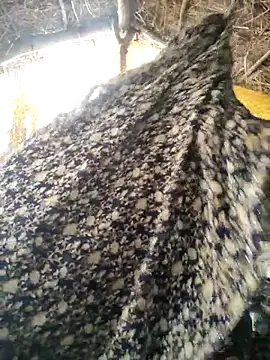 LUCKY cut online show from October 20, 3:07 am