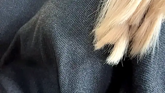 Sweet horizon online show from September 19, 5:42 am