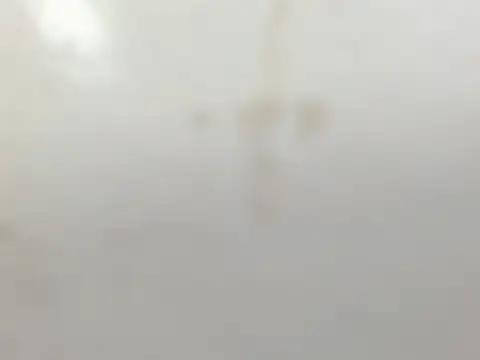 Snapshot of Penelopee_Rouse chatting on October 20, 7:25 pm Penelopee Rouse online show from October 20, 7:25 pm