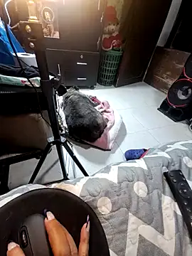 anythompsom online show from November 10, 11:15 pm