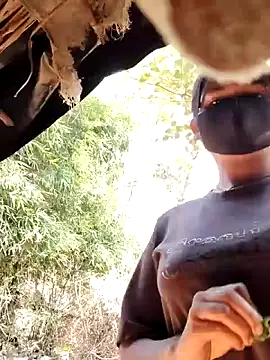 Janvi Jaitly online show from November 17, 9:15 am