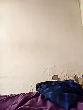 Snapshot of average_price chatting on December 3, 8:00 am average price online show from December 3, 8:00 am