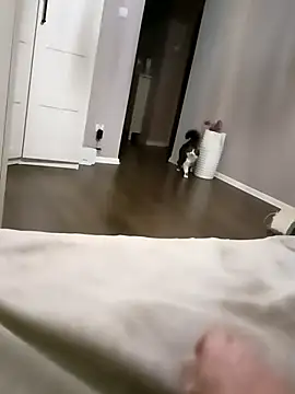 Snapshot of NiceBadgera chatting on October 10, 6:40 pm NiceBadgera online show from October 10, 6:40 pm