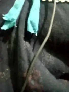 Telugu hot cpl online show from December 16, 5:51 pm