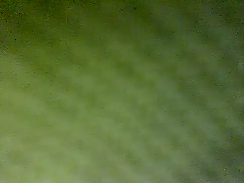 Snapshot of honestglacier9 chatting on October 17, 7:27 pm honestglacier9 online show from October 17, 7:27 pm